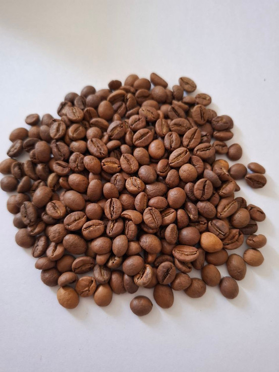 روبوستا هند چری AA